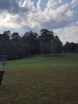 Oggwood Disc Golf Course