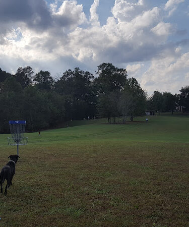 Oggwood Disc Golf Course