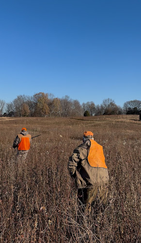 Three Feathers Hunting Preserve