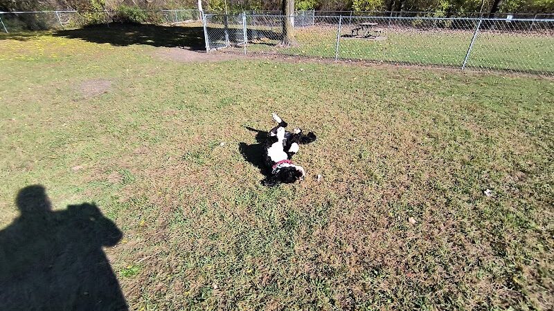 Cedar Springs Dog Park (in Riggle Park) - Cedar Springs, MI