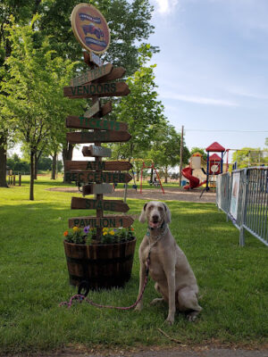 Center Line Parks & Recreation