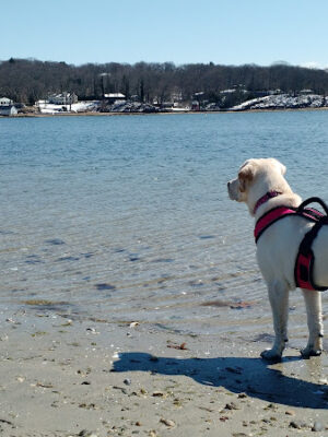 Centerport Beach