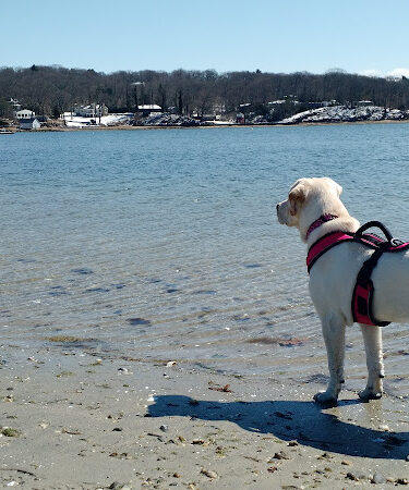 Centerport Beach