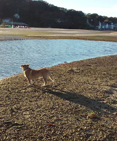 Fleets Cove Beach Park