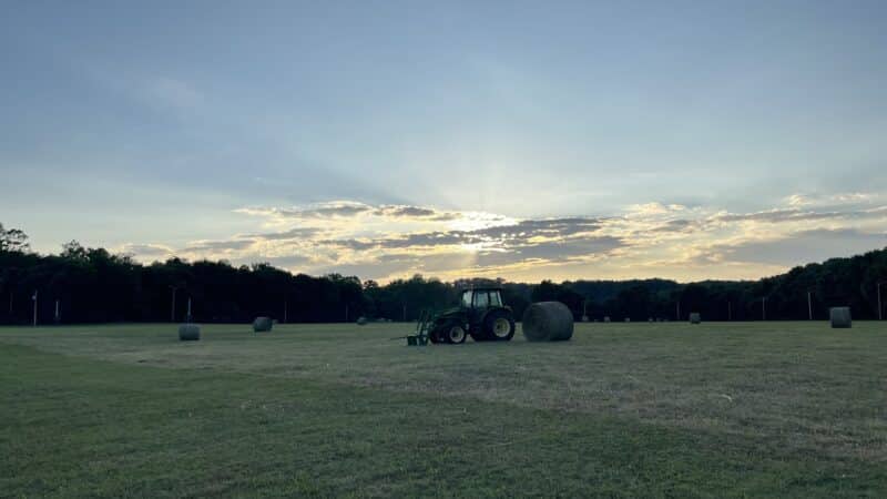 Centerville River Park - Centerville, TN