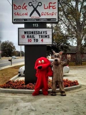 Dog Life Salon - Centerville, GA