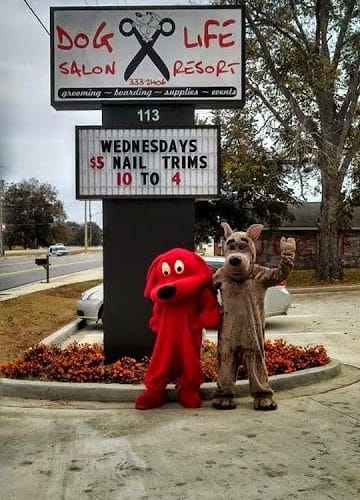 Dog Life Salon - Centerville, GA