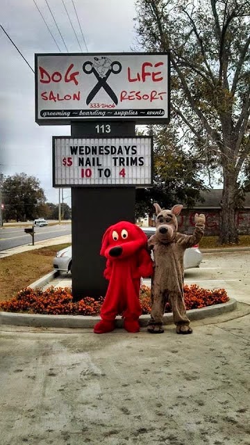 Dog Life Salon - Centerville, GA