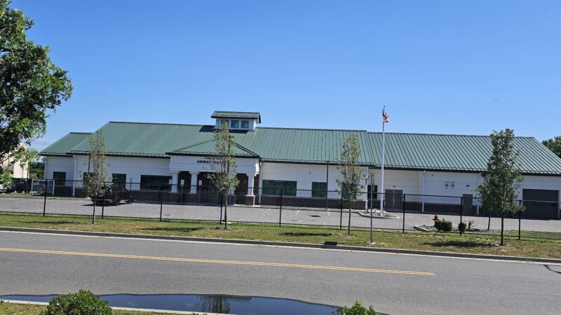 Islip Animal Shelter - Central Islip, NY