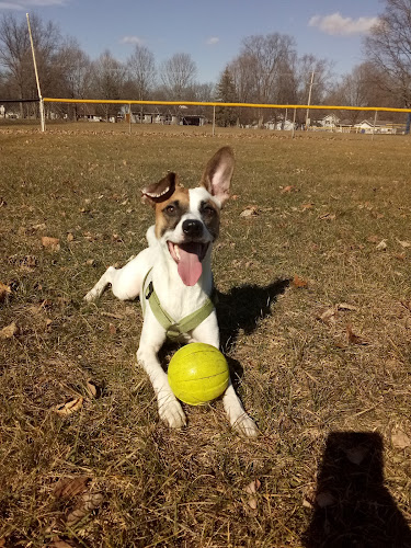 Adam's Park