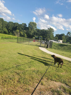 Arrow Creek Park Dog Park