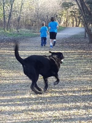 Elm Creek Park Reserve - Dog Off-leash Area