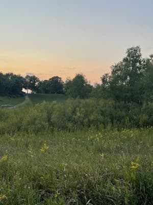 Elm Creek Park Reserve - Dog Off-leash Area