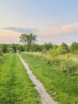 Elm Creek Park Reserve - Dog Off-leash Area