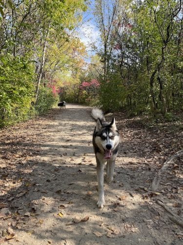 Elm Creek Park Reserve - Dog Off-leash Area