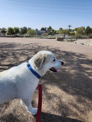 Paseo Vista Recreation Area Bark Park