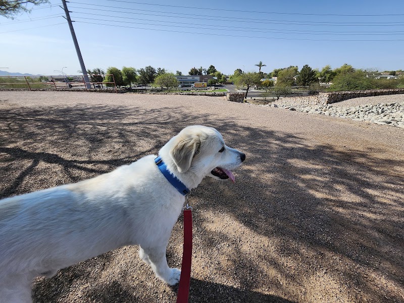 Paseo Vista Recreation Area Bark Park - Chandler, AZ