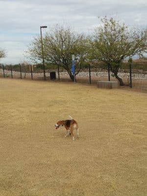Paseo Vista Recreation Area Bark Park