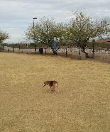 Paseo Vista Recreation Area Bark Park