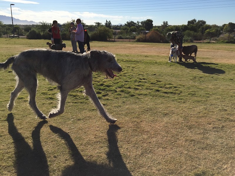 Paseo Vista Recreation Area Bark Park - Chandler, AZ