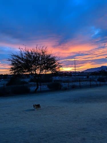 Paseo Vista Recreation Area Bark Park