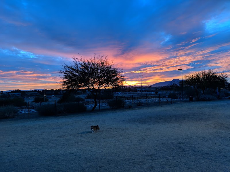 Paseo Vista Recreation Area Bark Park - Chandler, AZ