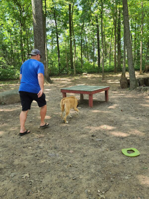 Dulles Gateway Dog Park