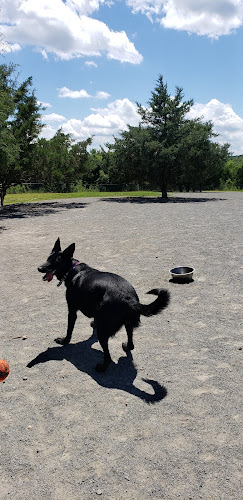 Rock Hill District Park