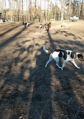 Southern Community Dog Park