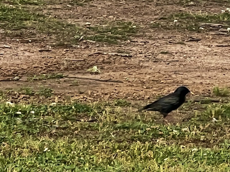 Crooked Creek Park - Chapin, SC