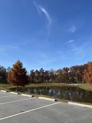 Melvin Park