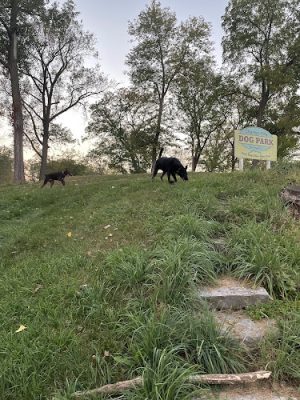 Charles City Dog Park