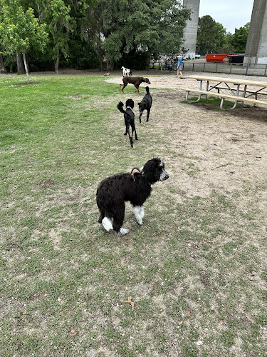 Dog park at Governors Park