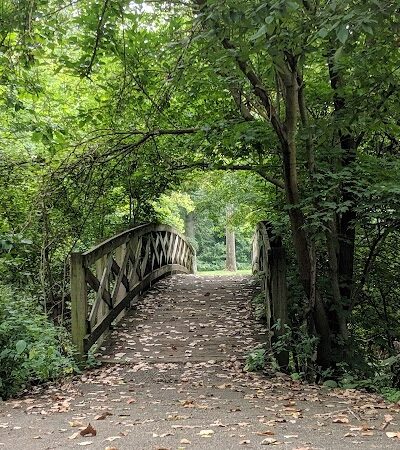 Bennett Park - Charlotte,