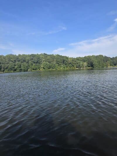 Gilbert Run Park - Charlotte Hall, MD