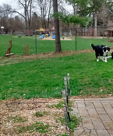 Dean Park