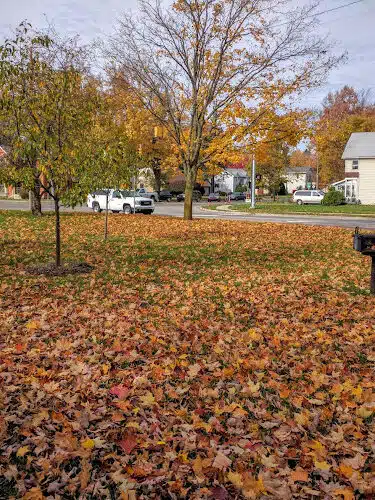 Snell Park