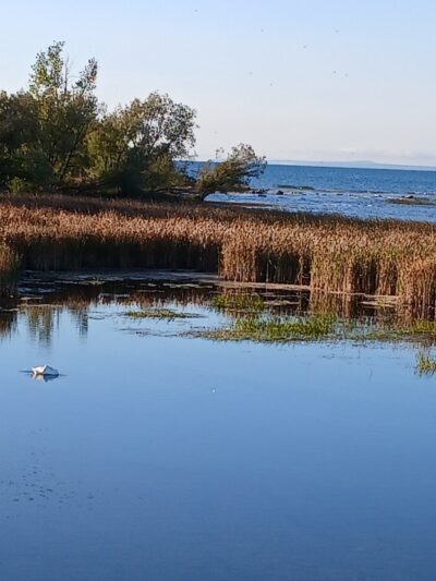 Gordon Turner Park, Cheboygan, MI - Cheboygan,