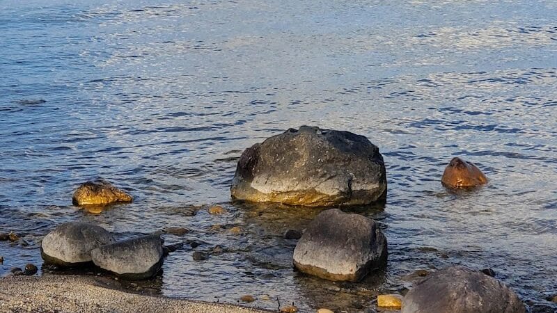 MDOT Roadside Park - Cheboygan, MI