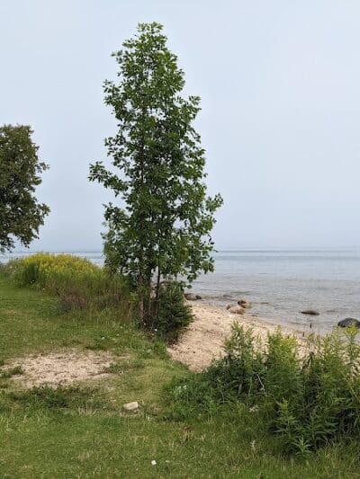 MDOT Roadside Park - Cheboygan, MI