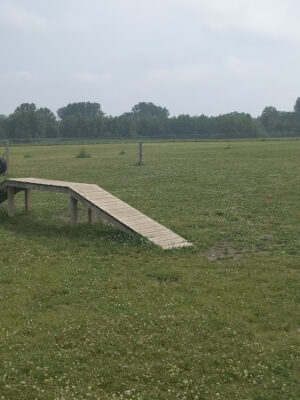 City of Chelsea Dog Park