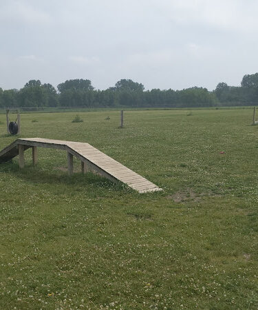 City of Chelsea Dog Park