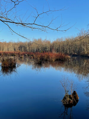 Cheltenham Wetlands Park - Parking