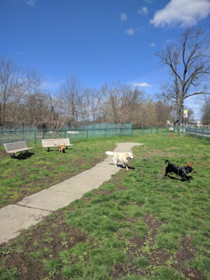 Cooper River Dog Park