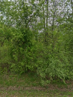 Birding and Wildlife Trail