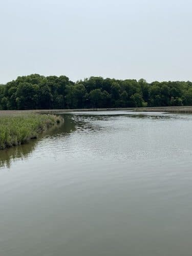 Chesapeake Beach Railway Trail Trailhead