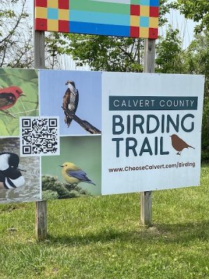 Chesapeake Beach Railway Trail Trailhead