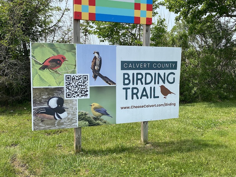 Chesapeake Beach Railway Trail Trailhead - Chesapeake Beach, MD