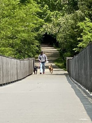 Chesapeake Beach Railway Trail Trailhead