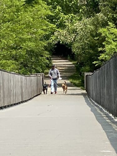 Chesapeake Beach Railway Trail Trailhead